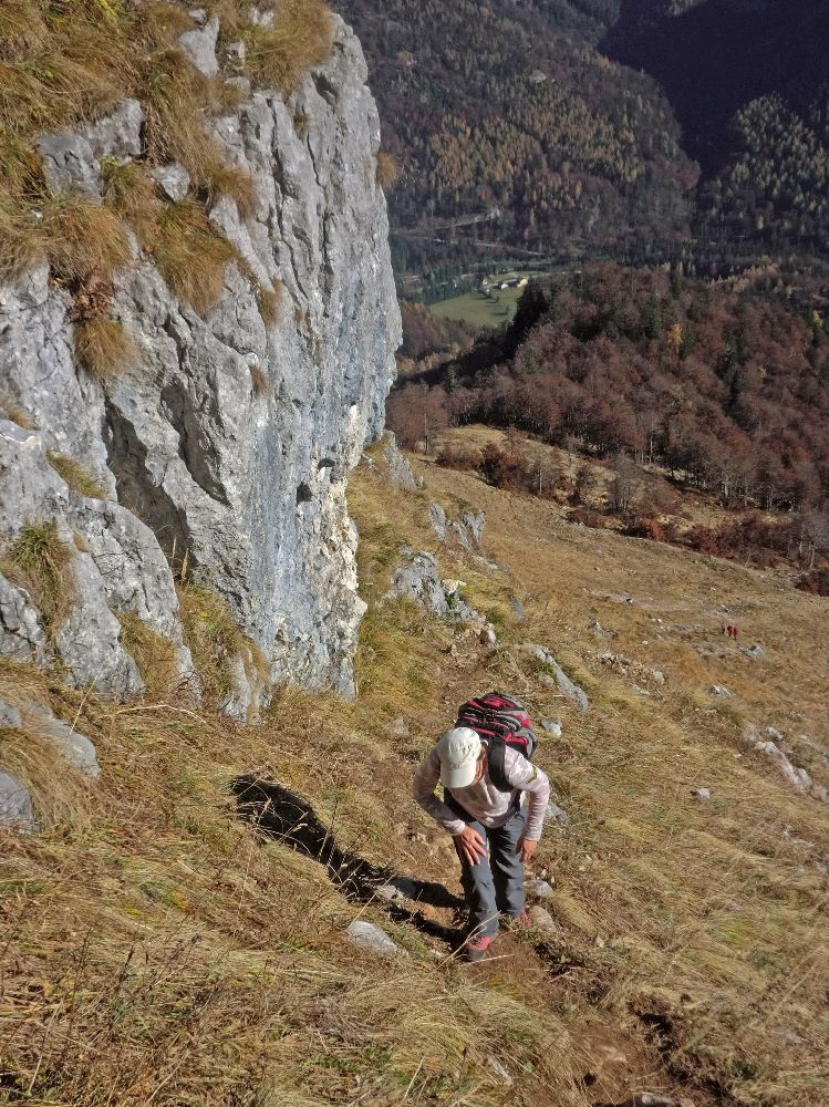 Scheiblingstein (359 Bildaufrufe)