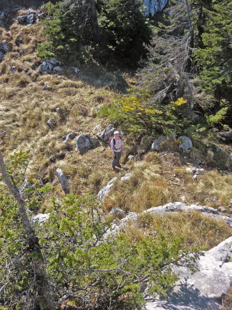 Scheiblingstein (303 Bildaufrufe)