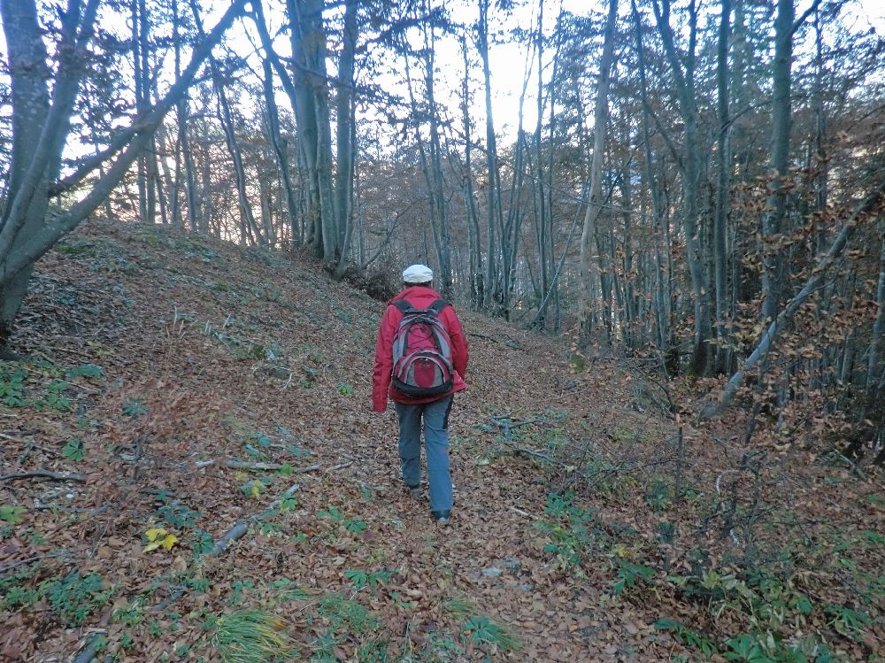 Scheiblingstein (241 Bildaufrufe)