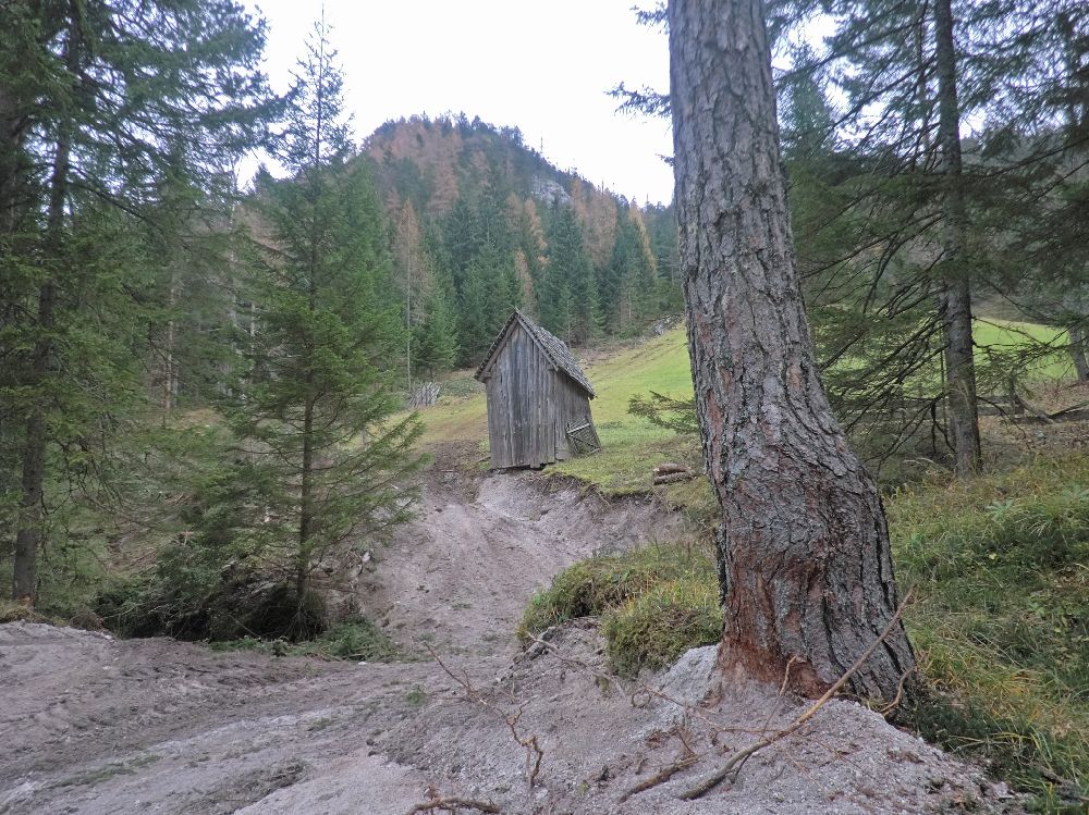 Geiger (211 Bildaufrufe)