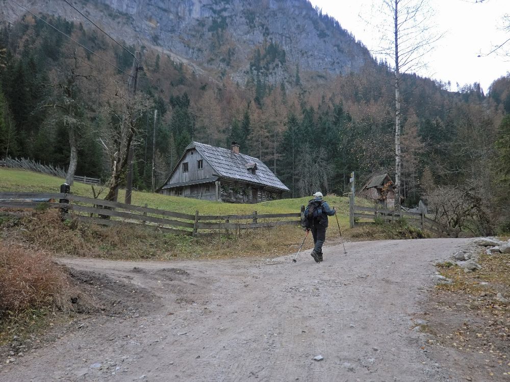 Geiger (215 Bildaufrufe)