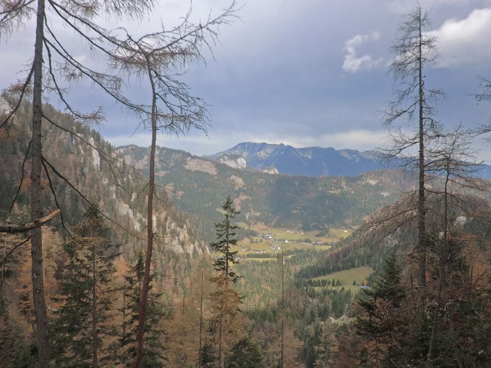 Geiger (224 Bildaufrufe)