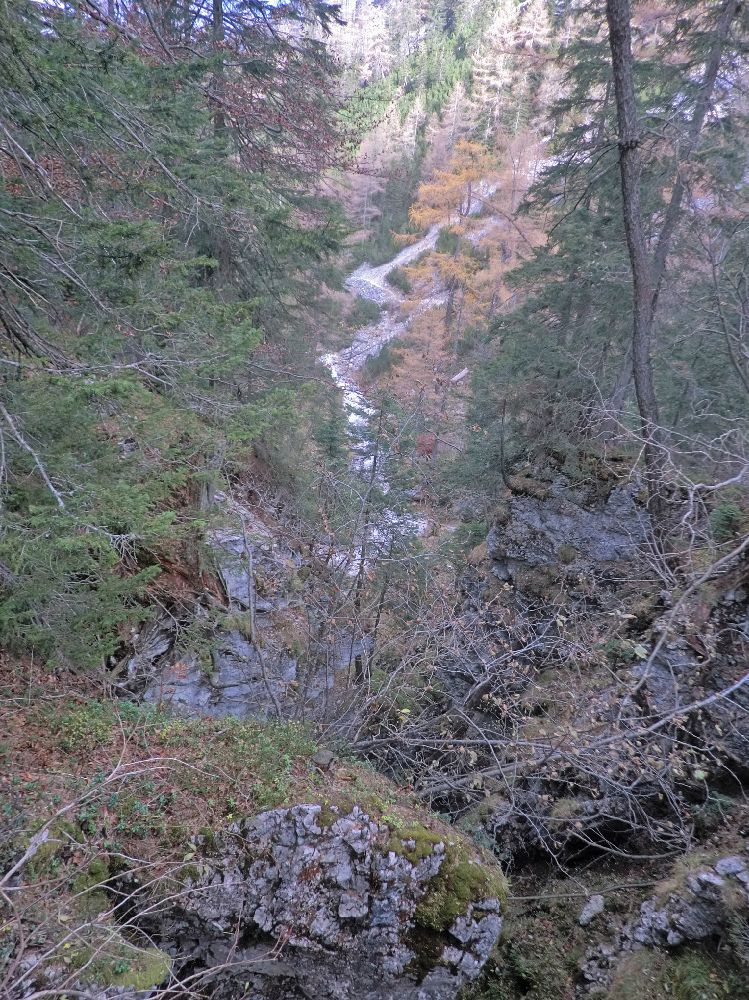 Geiger (227 Bildaufrufe)