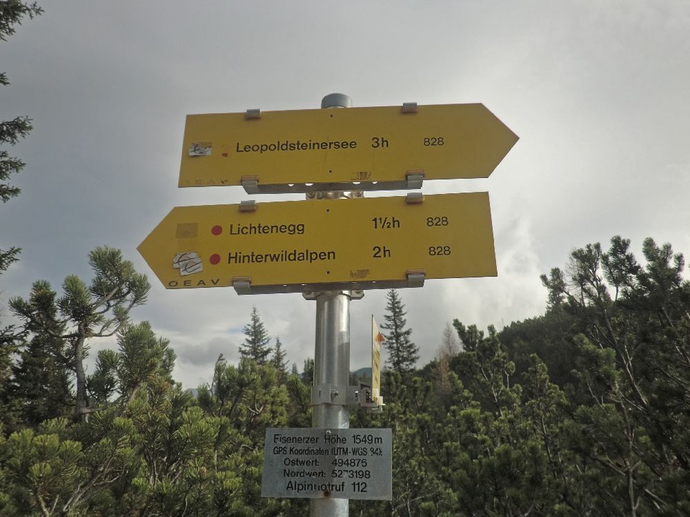 Geiger (208 Bildaufrufe)