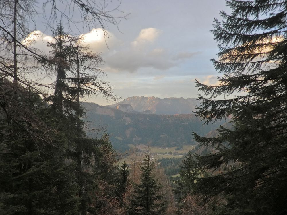 Geiger (214 Bildaufrufe)