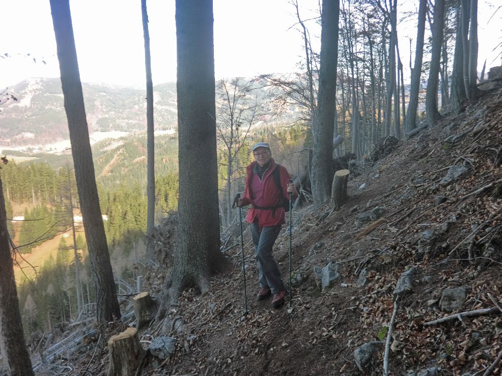 Bichleralpe (287 Bildaufrufe)