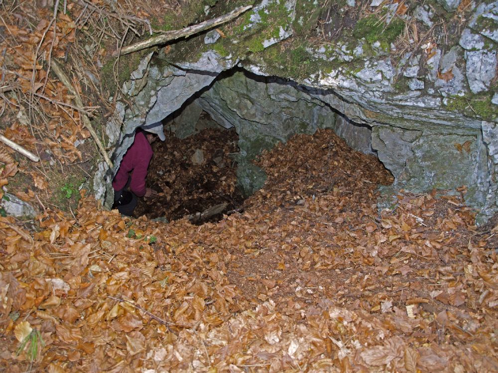 Brandmauer (240 Bildaufrufe)