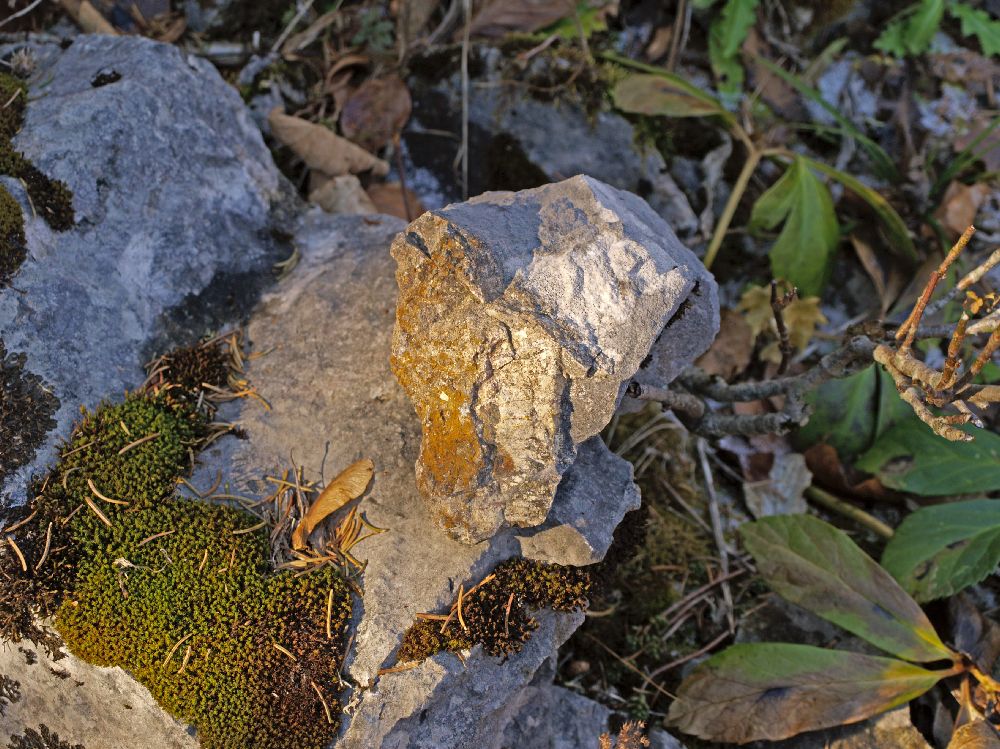 Brandmäuer (199 Bildaufrufe)