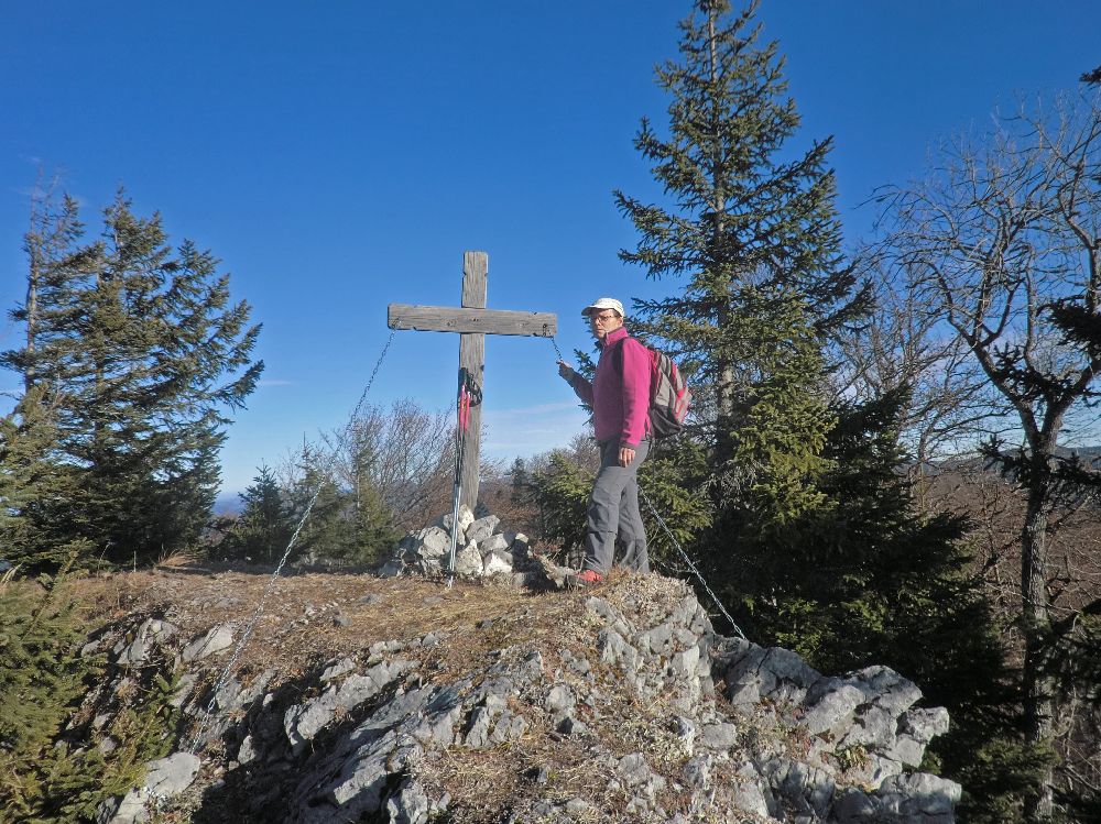 Brandmauer (217 Bildaufrufe)