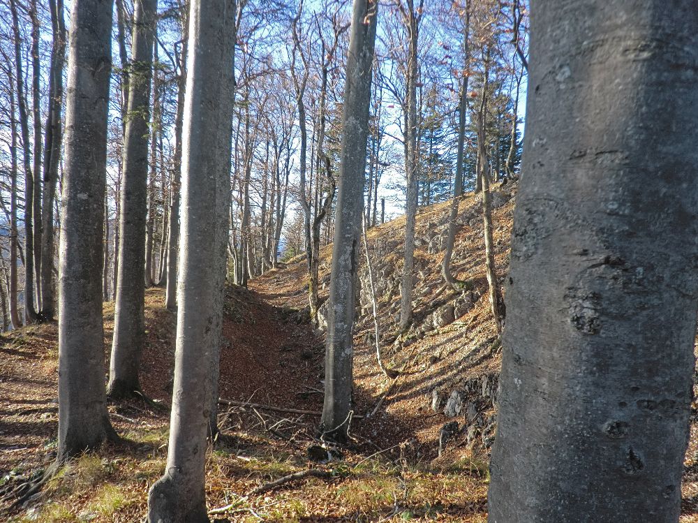 Brandmäuer (233 Bildaufrufe)