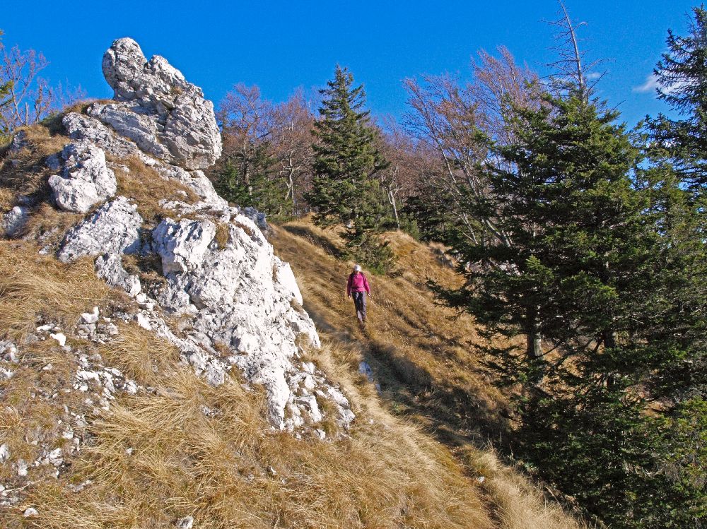 Brandmauer (231 Bildaufrufe)