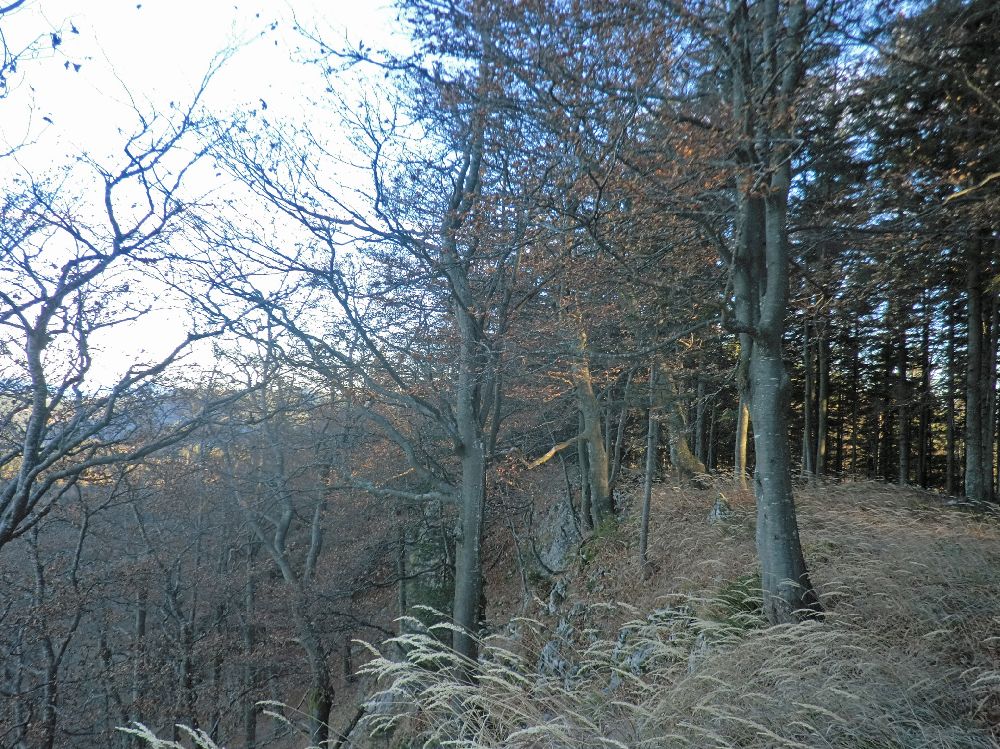 Brandm&auml;uer (251 Bildaufrufe)