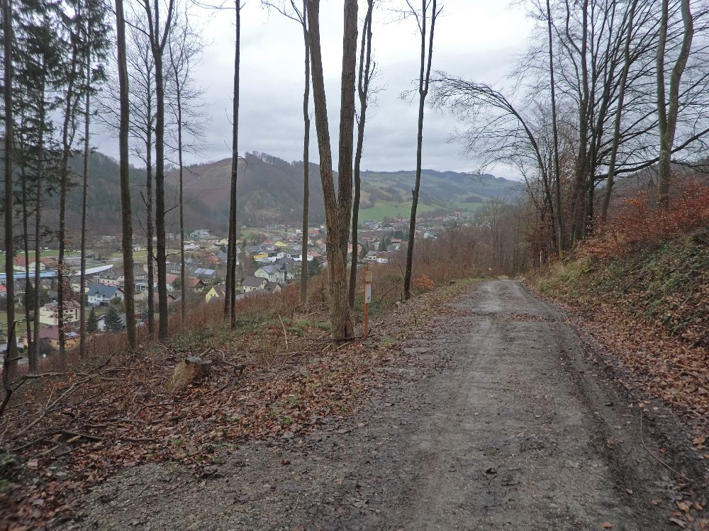 Gaisbühel (212 Bildaufrufe)