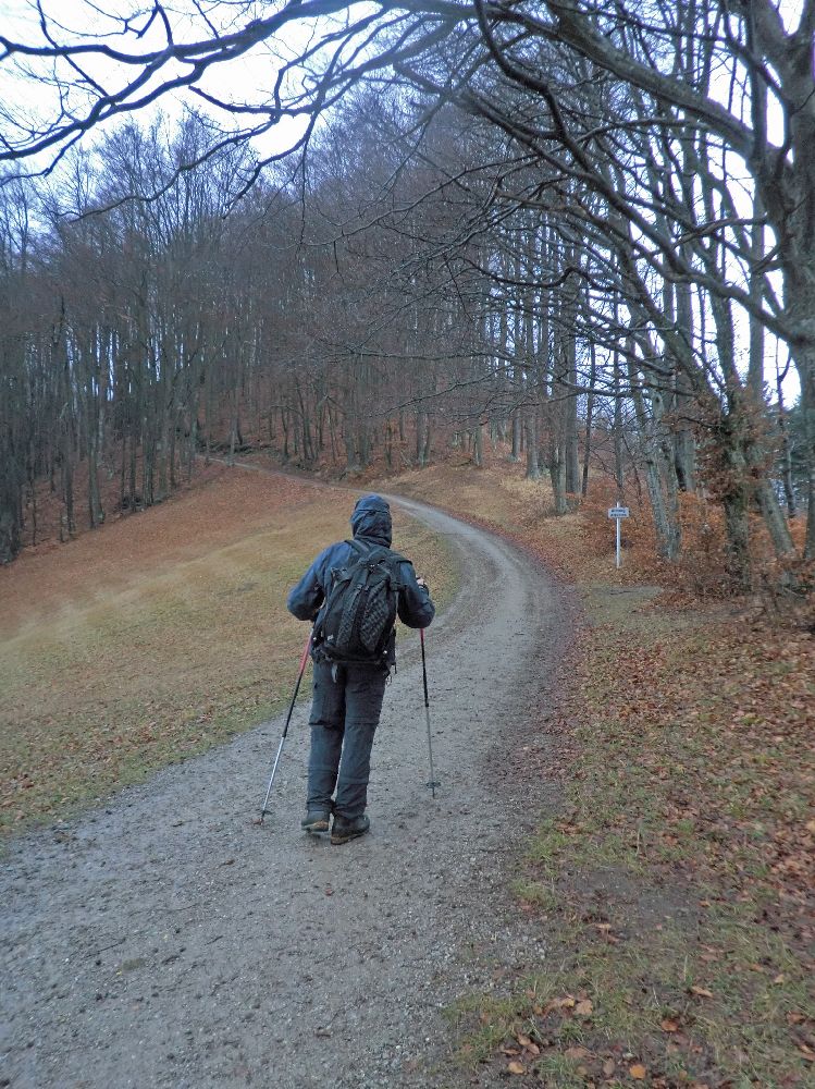 Gaisbühel (222 Bildaufrufe)