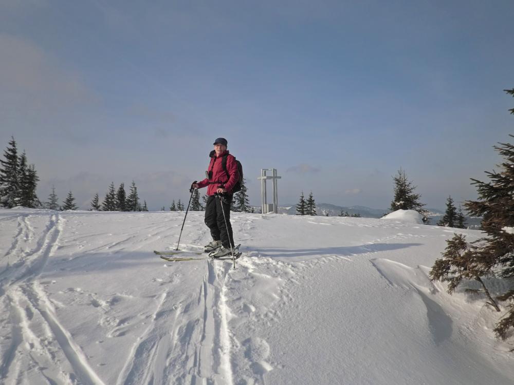 Tirolerkogel (246 Bildaufrufe)
