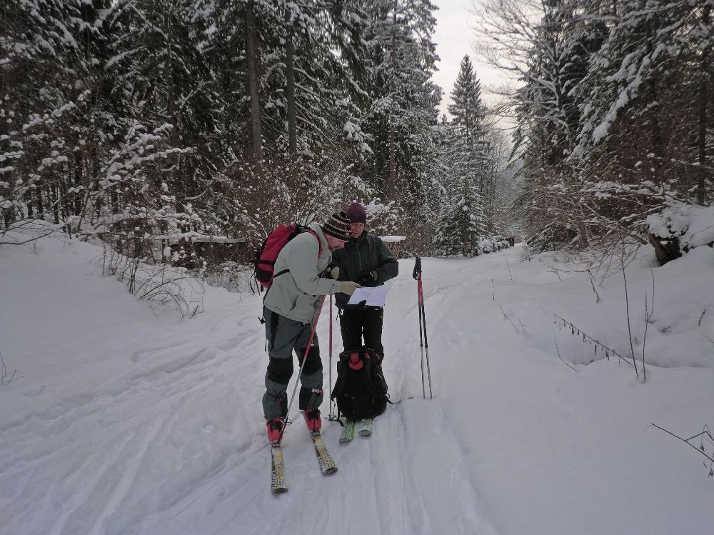 Linsberg (208 Bildaufrufe)