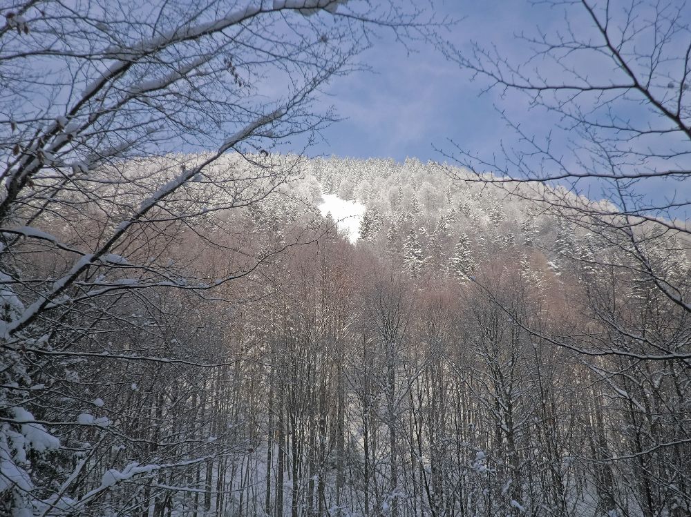Linsberg (139 Bildaufrufe)