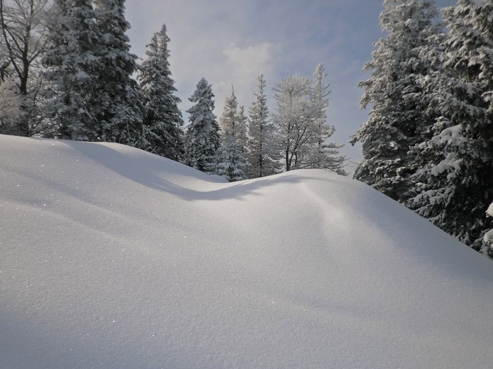 Linsberg (183 Bildaufrufe)