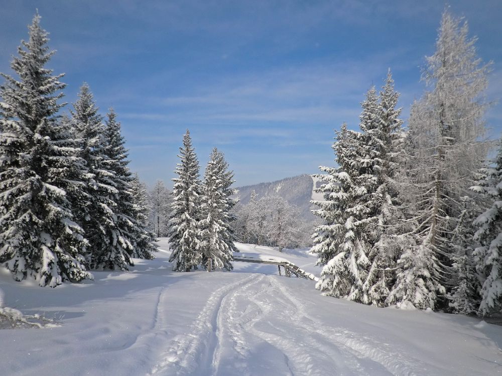 Linsberg (159 Bildaufrufe)