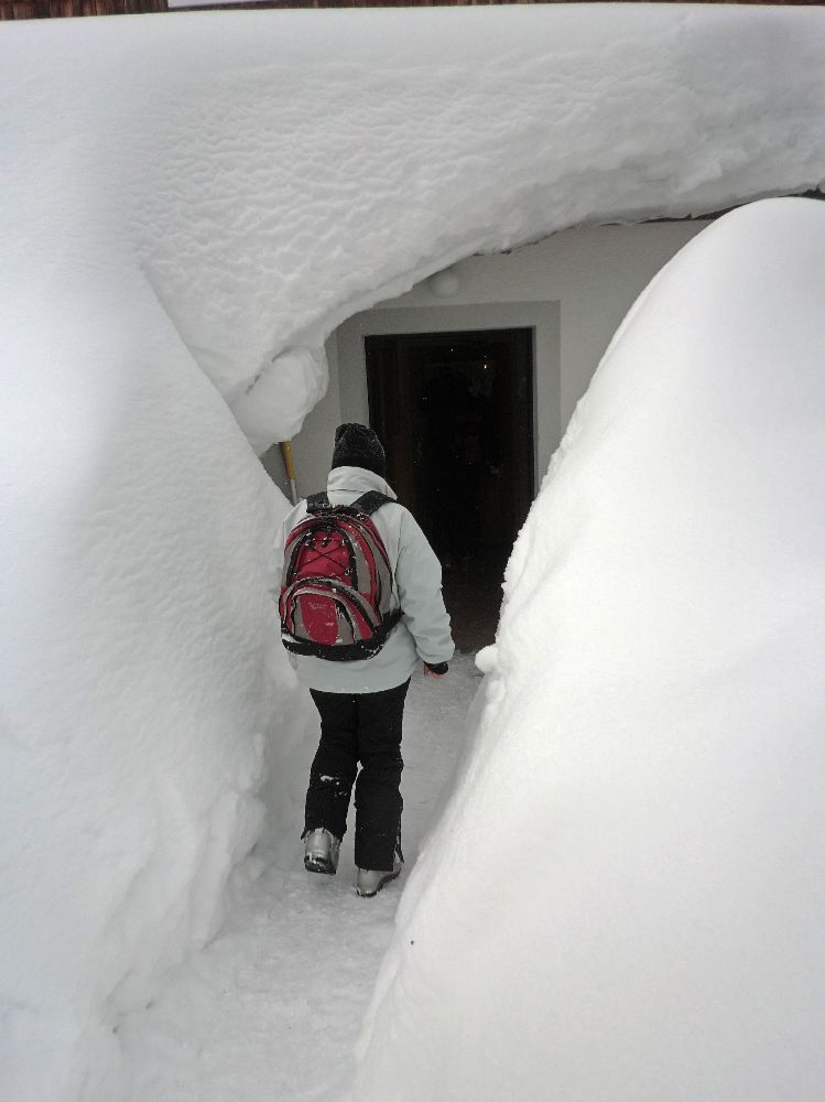 Linsberg (224 Bildaufrufe)