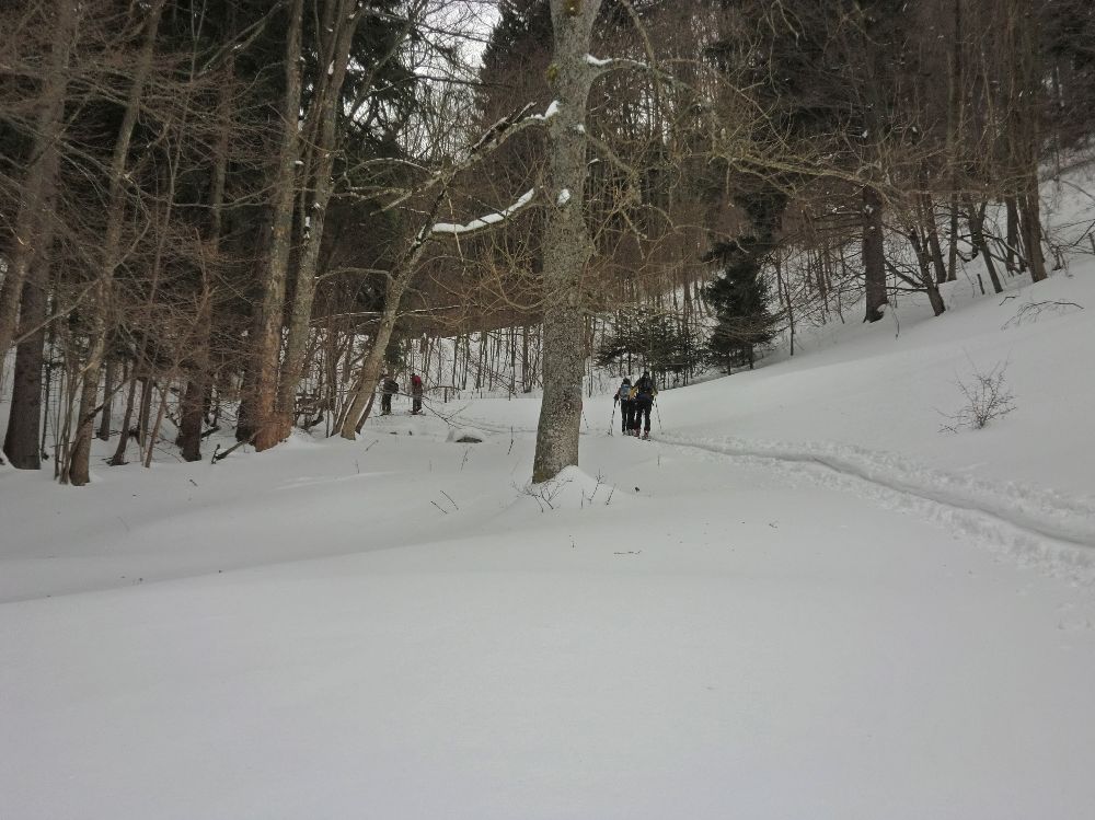 Hochstaff (247 Bildaufrufe)