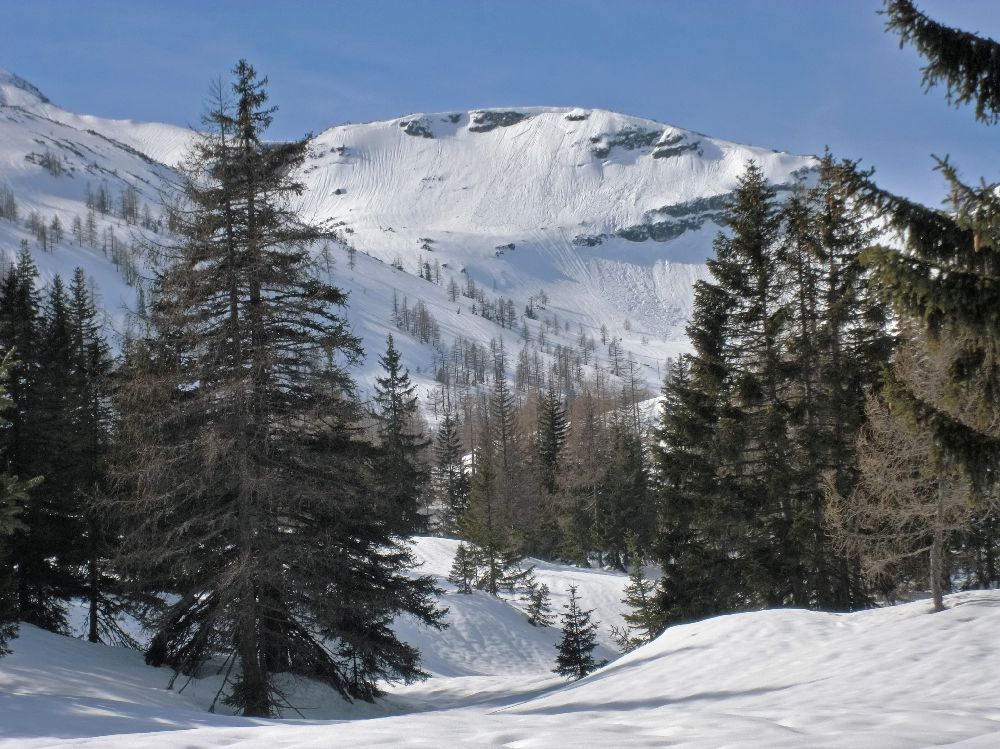 Hochstadl (226 Bildaufrufe)