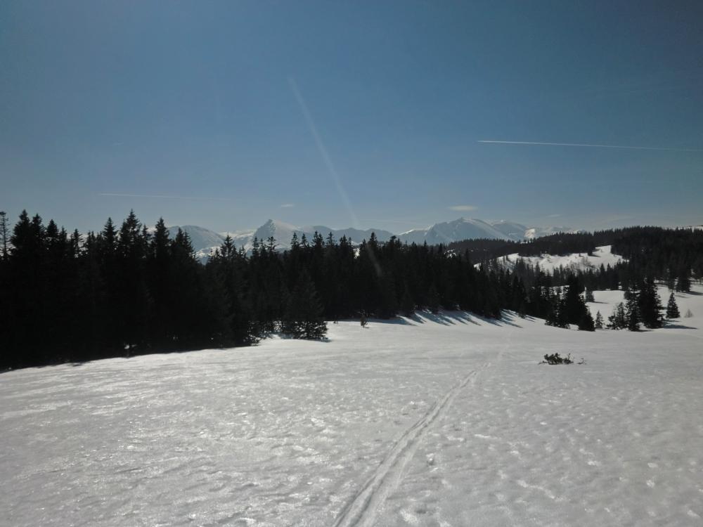 Betb&uuml;hel (240 Bildaufrufe)