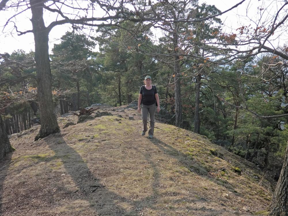 Waxenberg (249 Bildaufrufe)