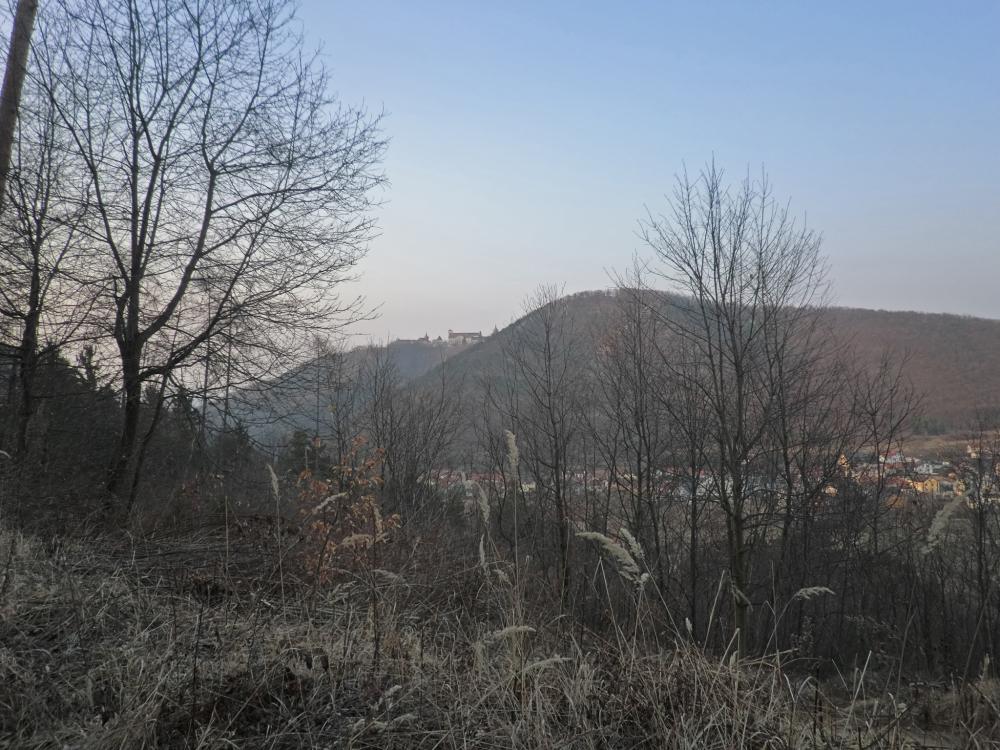 Waxenberg (251 Bildaufrufe)