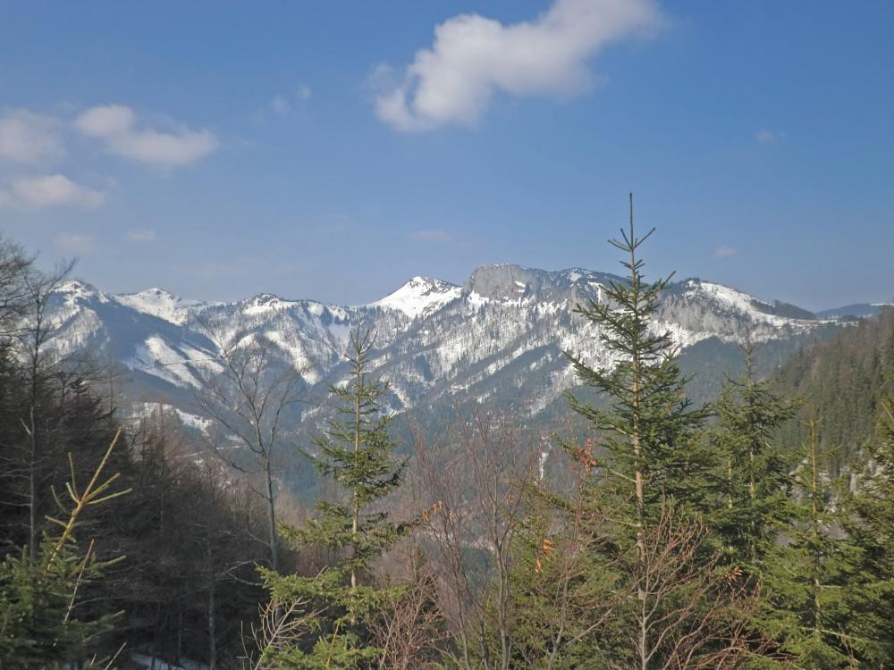 Spielkogel (239 Bildaufrufe)