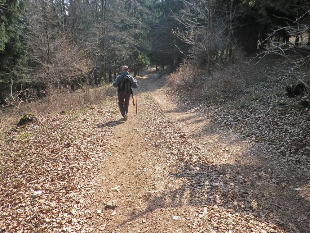 Bichlberg (170 Bildaufrufe)