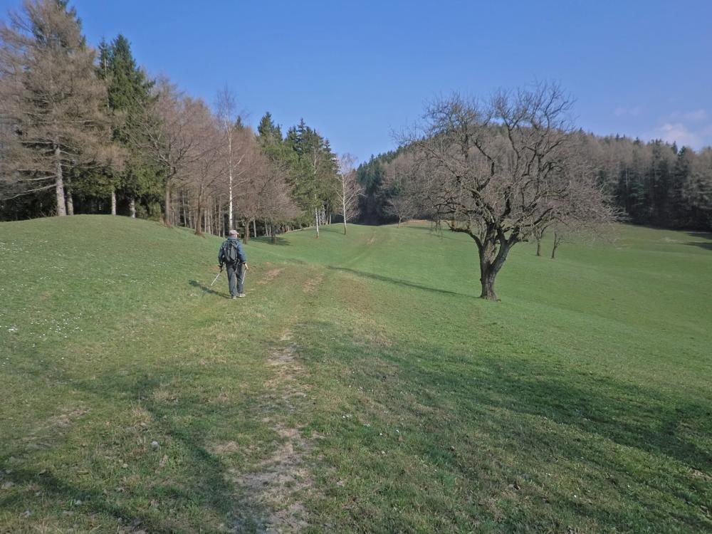 Bichlberg (193 Bildaufrufe)