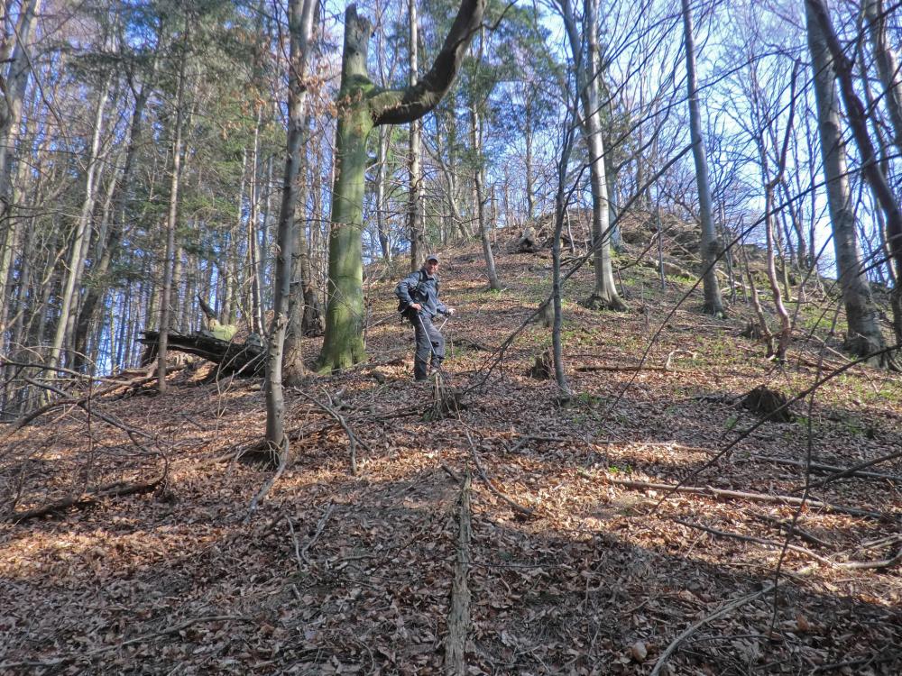 Bichlberg (167 Bildaufrufe)