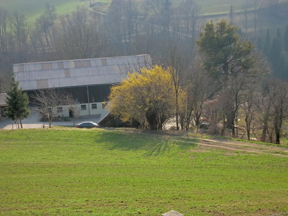 Bichlberg (184 Bildaufrufe)
