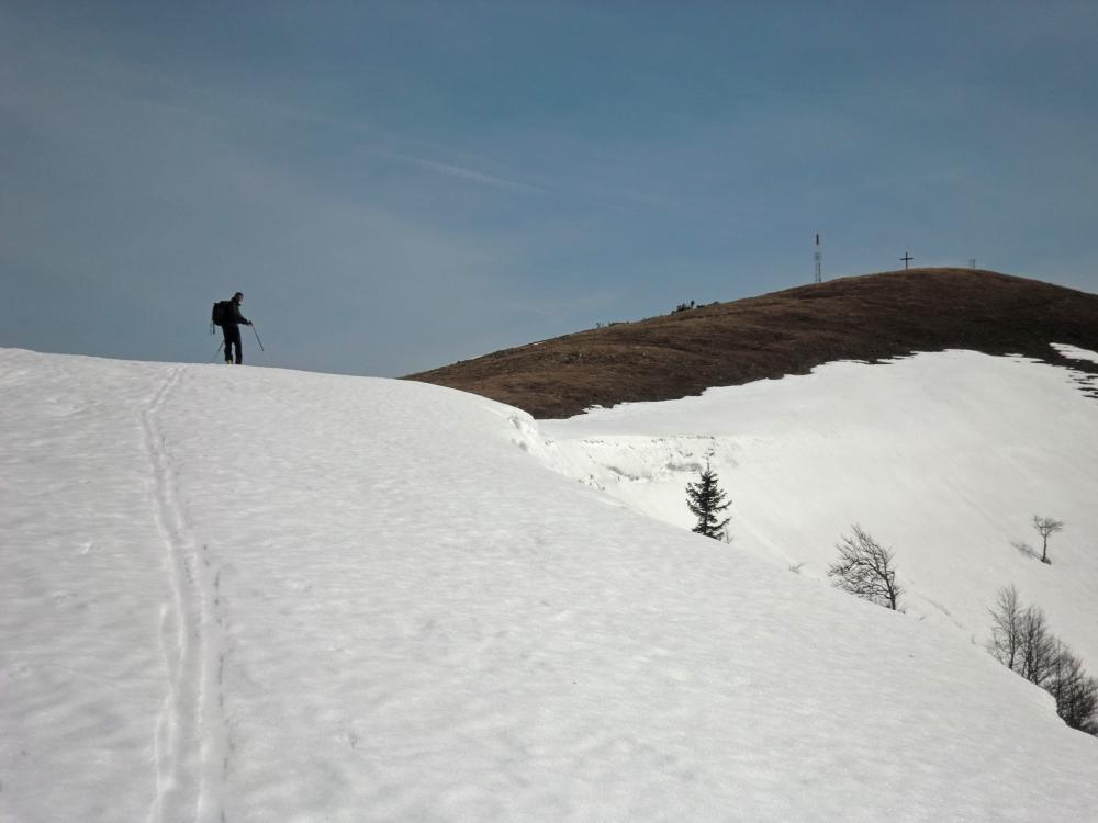 Wildalpe (203 Bildaufrufe)