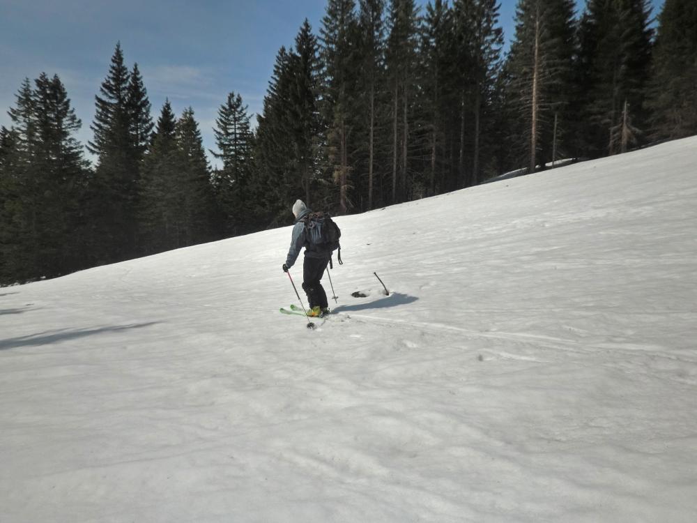 Wildalpe (216 Bildaufrufe)