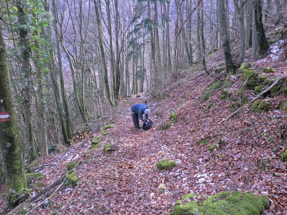 Schnabelstein (249 Bildaufrufe)