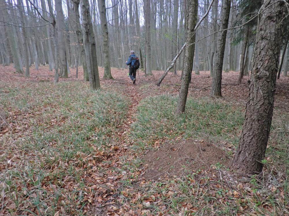 Ober-Grafendorf (205 Bildaufrufe)