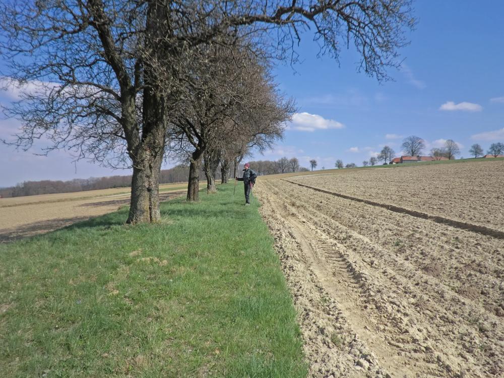 Ober-Grafendorf (195 Bildaufrufe)