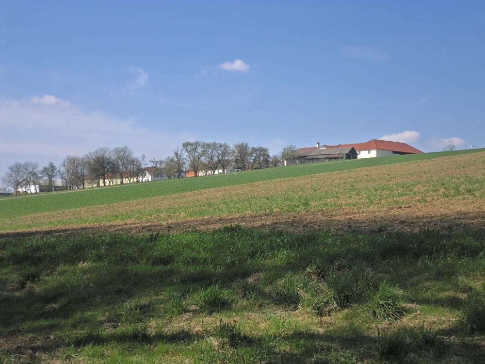 Ober-Grafendorf (213 Bildaufrufe)