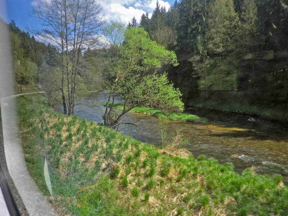 Plöckenstein (248 Bildaufrufe)