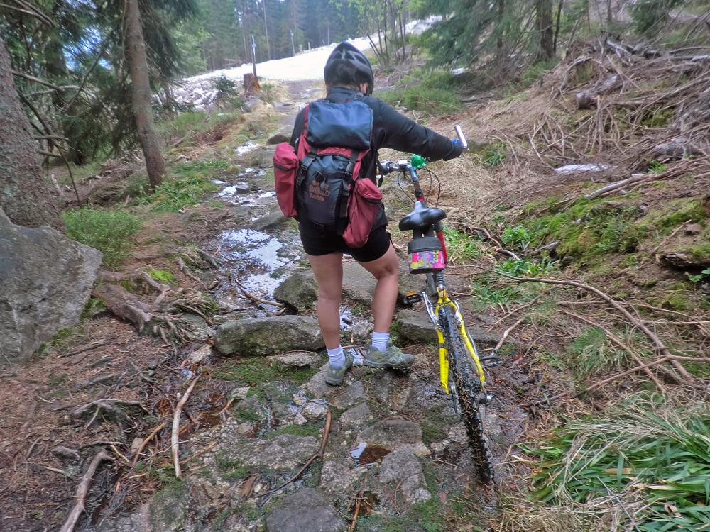 Plöckenstein (352 Bildaufrufe)