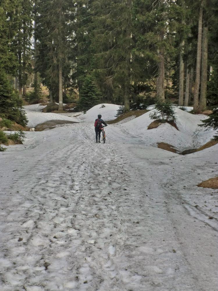 Plöckenstein (219 Bildaufrufe)