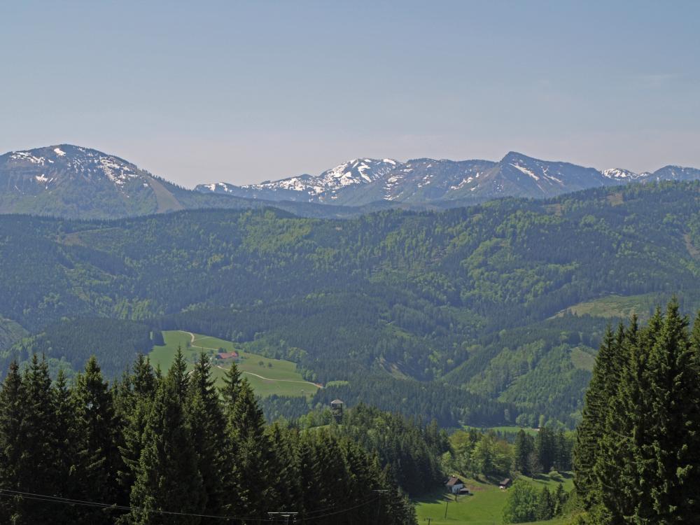 Turmkogel (220 Bildaufrufe)