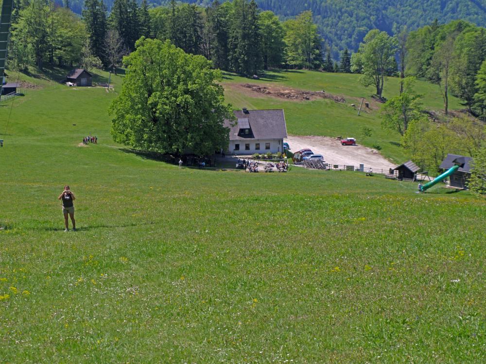 Turmkogel (251 Bildaufrufe)