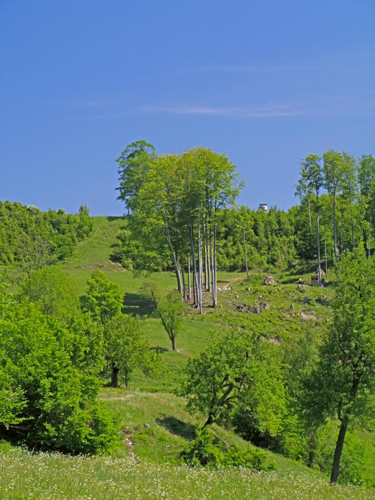 Turmkogel (196 Bildaufrufe)