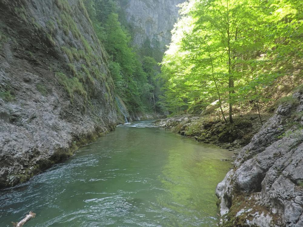 Turmkogel (227 Bildaufrufe)