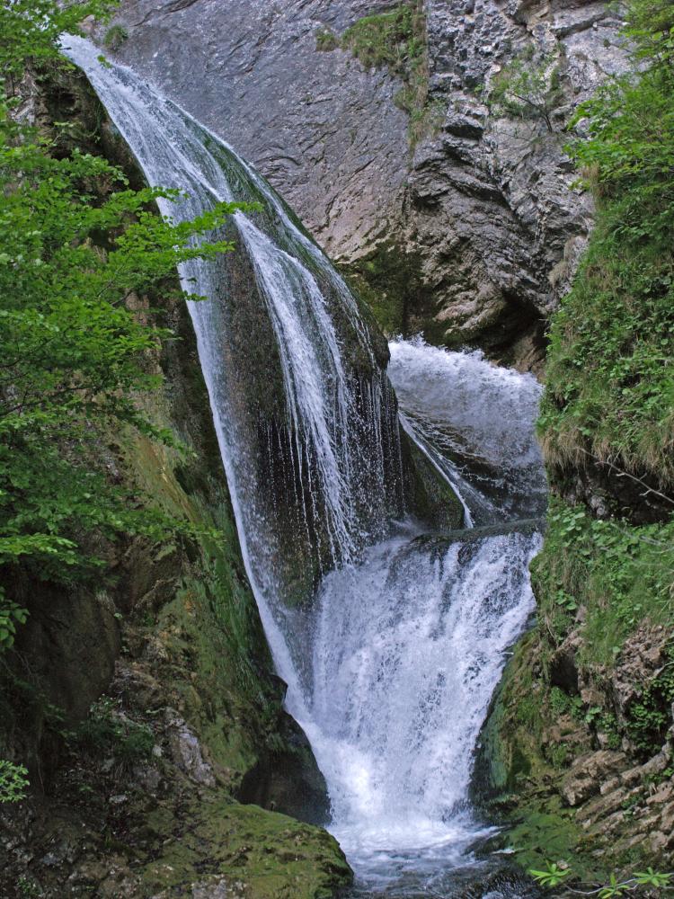 Turmkogel (231 Bildaufrufe)