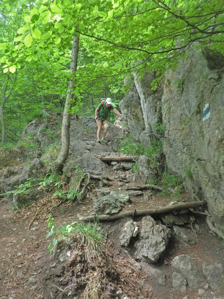 Hoher Lindkogel (244 Bildaufrufe)