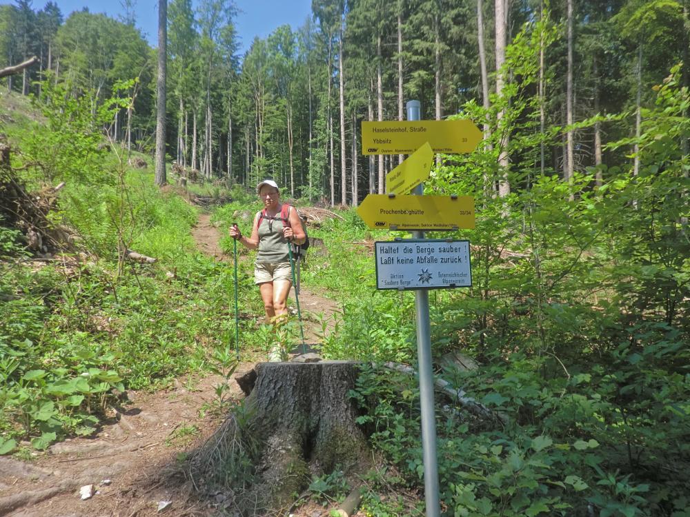Prochenberg (334 Bildaufrufe)